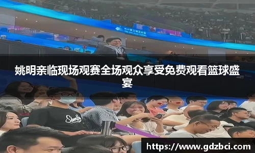 多多28
