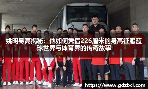 多多28首页