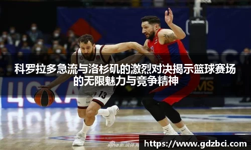 多多28首页