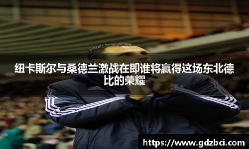 纽卡斯尔与桑德兰激战在即谁将赢得这场东北德比的荣耀